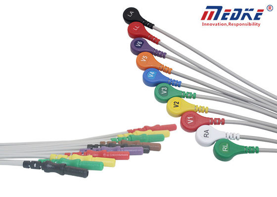 Biomedical Instruments 10 Lead BI Ecg Holter Cable For BI-9000TL
